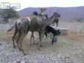 Political Situation In PAkistan