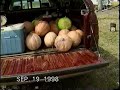 Guiness World Record Pumpkin Chucker