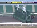 FAIR GROUNDS, 2009-12-04, Race 9