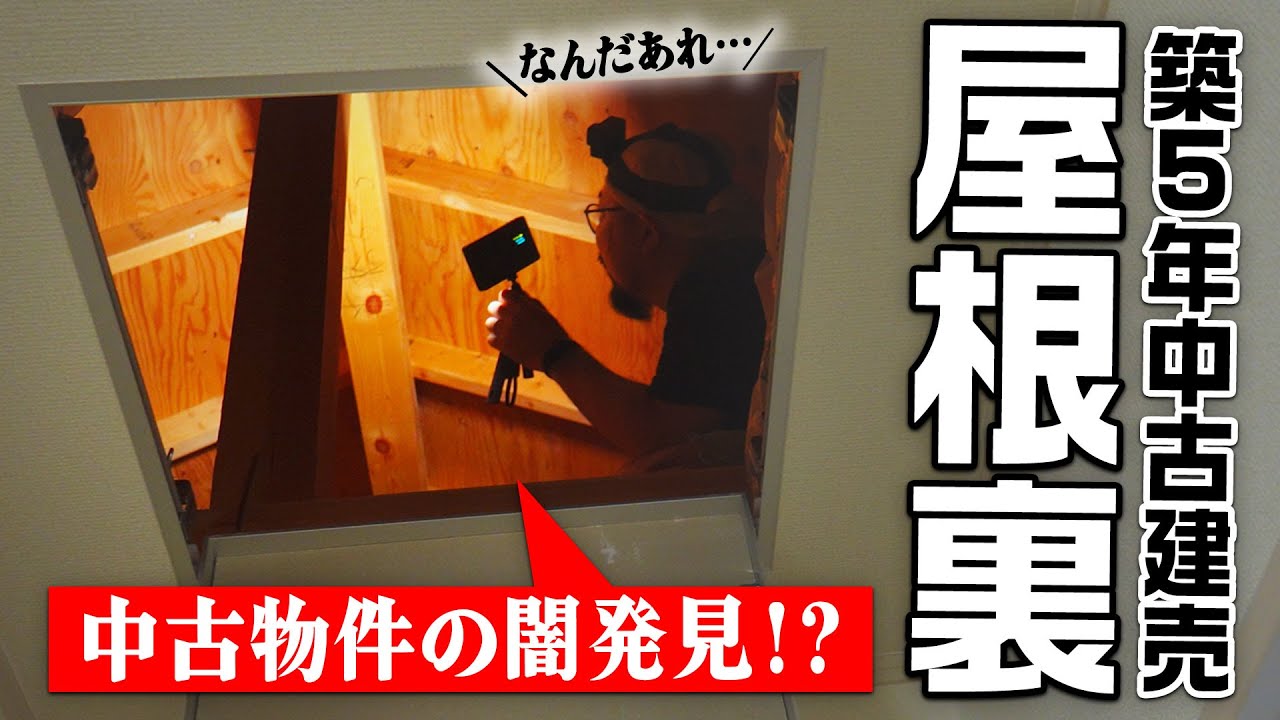 動画3