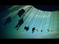 Ver Video