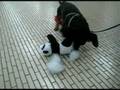破壊王コジ３