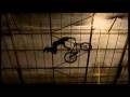 FREERIDE ONE BY DLT View Video