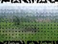 G�RLEY?K K�Y� 2005 SUMMER