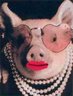 The McShakes [and Far Right] are in Uproar over Pigs In Lipstick | Karl Rove is the Unofficial Fifth Wheel of The McCain Campaign!