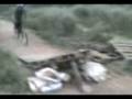 MOV00004.3gp