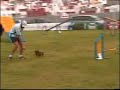 SUPER AGILITY DOG