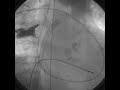 http://www.Askdrwiki.comhttp://www.doctorwiki.net