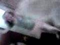 videos de Danniiee Dancin Rhii Singin