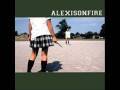 Polaroids of Polar Bears-Alexisonfire
