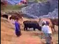 sirtoba köyü sirtoba köyü