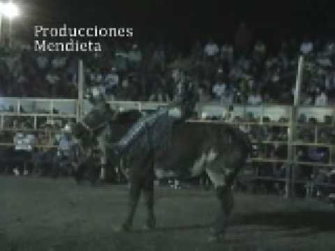 los destructores de memo ocampo