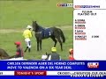 Headbutting a horse - Typical sort of thing at horse racing.