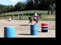 Horse Rearing