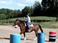 Horse Rearing