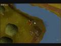 Runescape Fishing guide - Commentary - F2P