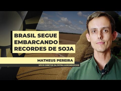 Entrevista Matheus Pereira