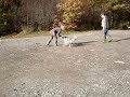 Narnia MH moment LEKLUST efter spöken, 5 på kamplust och 1 på skott!=)