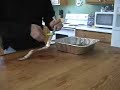 Backpacking Oven