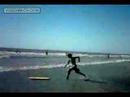 gato surfista