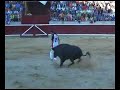 tafalla toros 2006 tafalla toros 2006