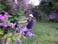 A Ride Into The Hedges