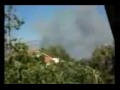 About fire in athens' forest in August '09