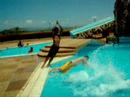 Wild Vacs