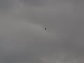 UFO Sighting UFO Sighting