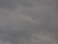 UFO Sighting