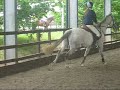 Billy Lauren and Emma showjump training upto 1m15