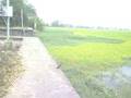 videos de pl save lake of kolhapur,maharashtra,india.