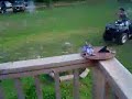 Petardos Petardos