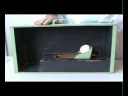 The Convincer - Objects of Wonder