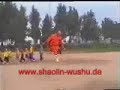 mantis style kung fu