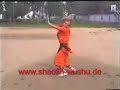 mantis style kung fu