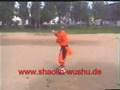 mantis style kung fu