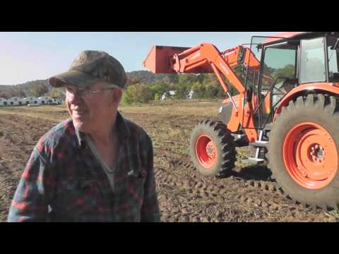 how to harvest and store sweet potatoes