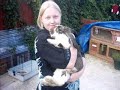 Dedicated to my 3 bunnies at Rainbow Bridge Dedicated to my 3 bunnies at Rainbow Bridge