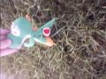 Yoshi Adventures 8