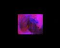 SIGHT BY VIDEOPHILE MUSIC MIXED BY DJ DOM