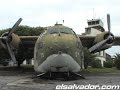 La Ballena Blanca del Vietnam est