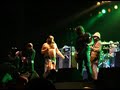 Turbonegro Live at Pukkelpop 2007 Turbonegro Live at Pukkelpop 2007