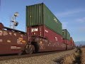 CN 105 with elephant style GMD\