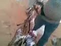 TOBRUK  LIBYA        طبرق   ليبيا      الزردة
