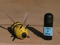 Hornet Spray Hornet Spray