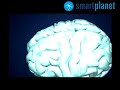Avances en el conocimiento de la migraña Avances en el conocimiento de la migraña