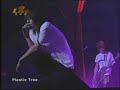 [LIVE]plastic tree - ryutaro encore + cream