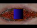 My 60 Second Animation