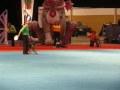 cvt_P1030244.avi